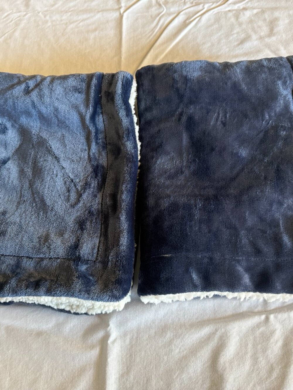(2) Truly Soft everday Blue Pillow Case Shams Standard / Queen